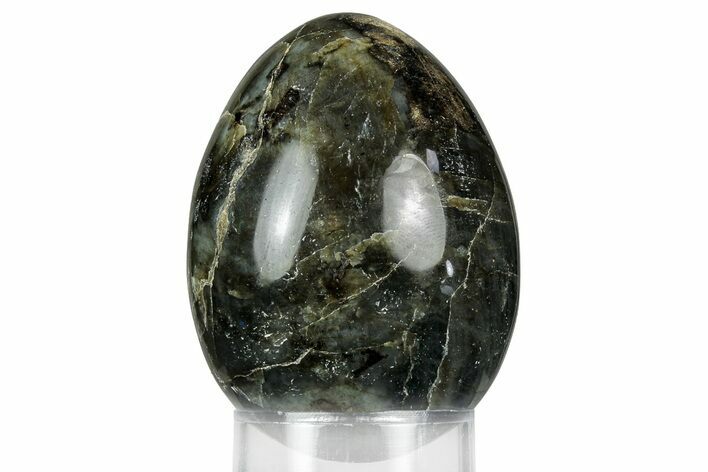Flashy, Polished Labradorite Egg - Madagascar #356471